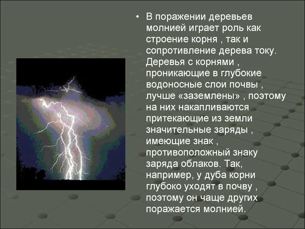 Вероятность поражения молнией. Строение молнии. Молния поражение деревьев. Презентация гроза молнии презентация. Доклад на тему гроза.