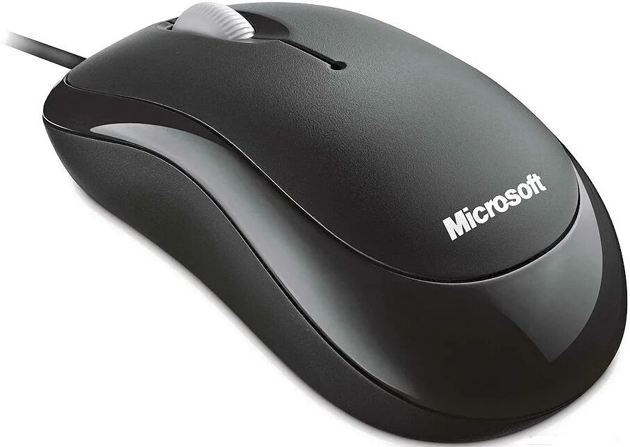 Мышь коре. Мышка Optical Mouse в100. Microsoft Optical Mouse 200. Мышь Microsoft Optical Mouse 200 for Business Black USB. Мышь Basic Optical Mouse 1.0 a.