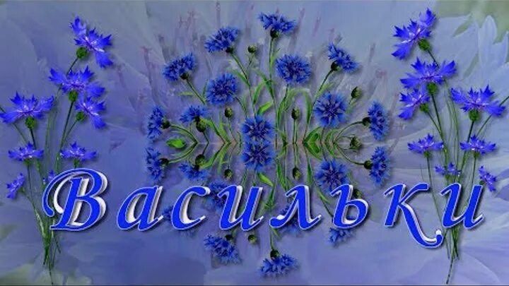 Белый день василек. Гифка клипарт ромашки васильки. Василек презентация. Ромашка василек песня слушать. Стих про розу и ромашку.