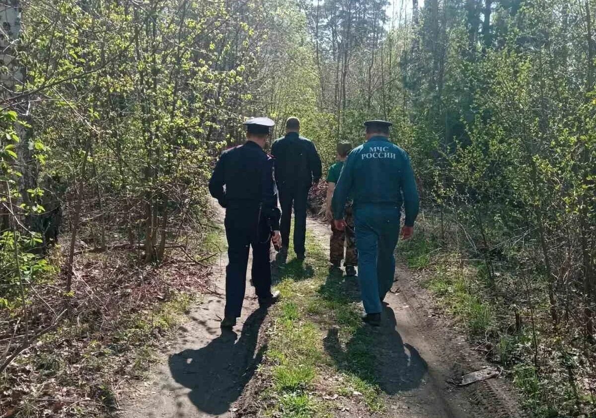 Заповедный лес под усиленной охраной. Патрулирование лесов. Наземное патрулирование лесов. Охотничий лес Ульяновск. Нарушенные земли в Лесном хозяйстве.