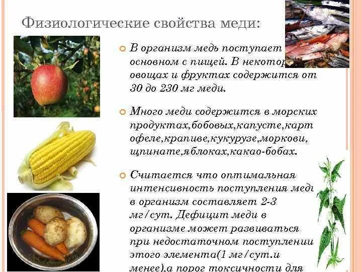 Содержание меди в продуктах. Какую роль играет медь для организма человека. Физиологическая роль меди в организме. Медь в организме человека недостаток. Влияние меди на организм человека.