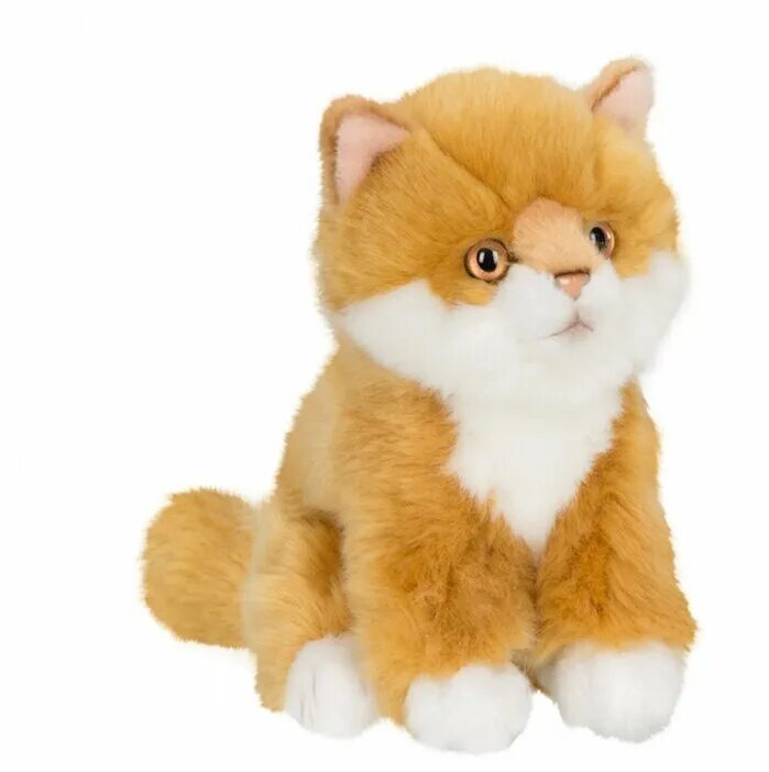 Anna Club Plush игрушки. Anna Club Plush мягкая игрушка. Anna Club Plush игрушки котенок. Anna Club Plush котик. Где купить игрушку кот