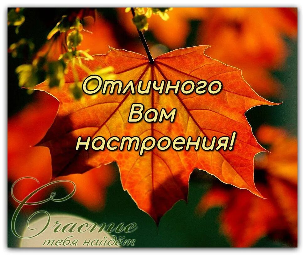 Хорошего дня 18 сентября. День кленового листа 18 сентября. листочки для открытки. кленовый лист с надписью хорошего настроения. день листопада 18 сентября.