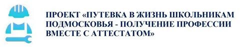 Проект путевка в жизнь