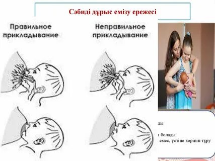 Жыртылған есектердің жақыннан түсірілген фотосуреттері