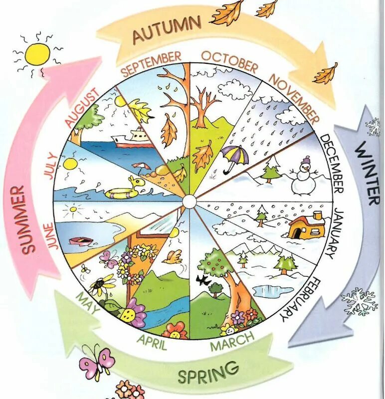 There are four seasons. Времена года и месяца. Времена года и месяца для детей. Календарь времена года для детей. Месяцы по временам года для детей.