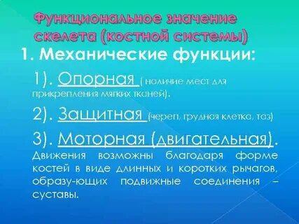 Костной значение