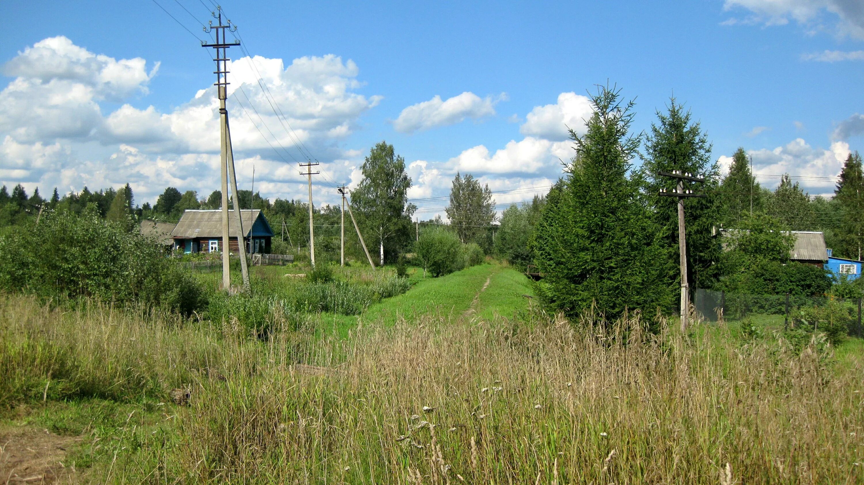 Новгородская область в реальном времени. Деревня Огорелье. Тёсово-Нетыльское сельское поселение. Деревня Ильина гора Демянский район Новгородская область. Огорелье Ленинградская область.