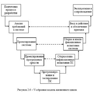 V образный жизненный цикл