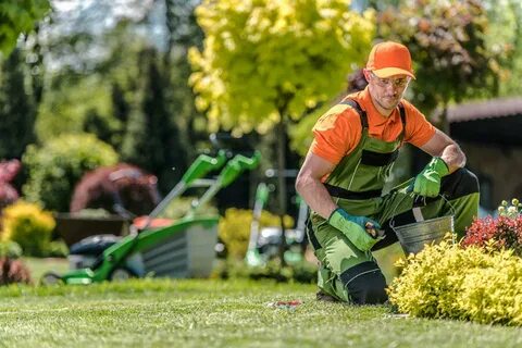 Garden Maintenance Services in Dubai