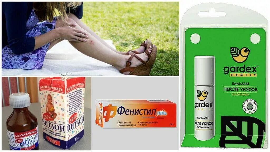 Средство от укуса мошки для детей. Чем помазать после укусов. Средство после укусов насекомых. Чем помазать после укусов. Мазь после комариных укусов.