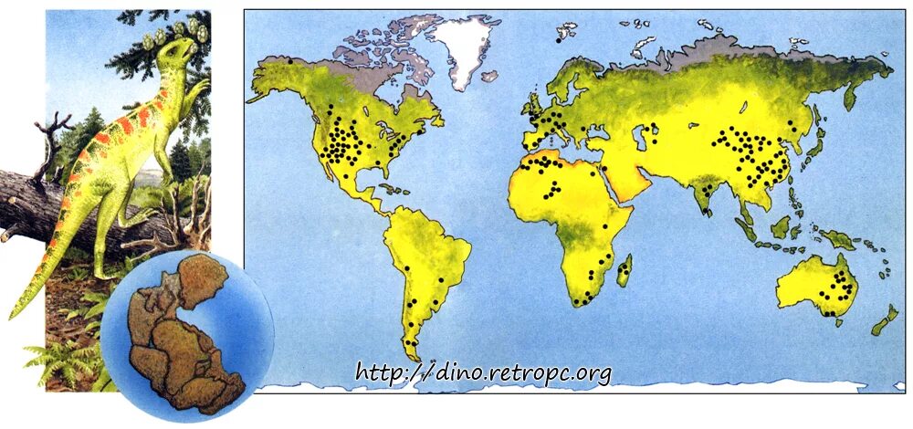 Ареал обитания динозавров. Ареал обитания динозавров в России. Карта обитания динозавров в мире. Место обитания динозавров на земле.