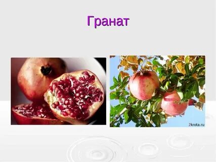 Гранат 2 класс