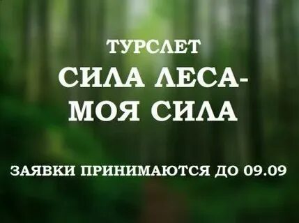 Сила леса сила воздуха