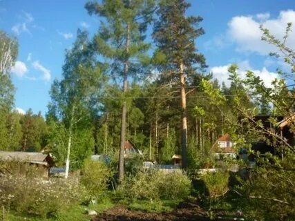 Земельные участки в снт дачное