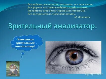 Видеть 1 все