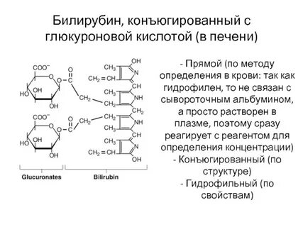 Роль глюкуроновой кислоты