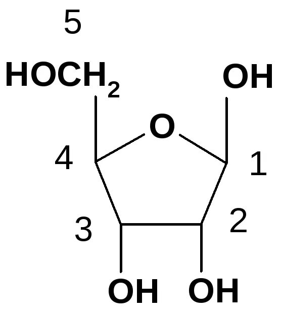 2 Дезокси д рибоза. 2-Дезокси-d-рибоза (DD). 2-Дезокси-б-рибоза (DD). D-рибоза и 2-дезокси-d-рибоза. Б а н к n