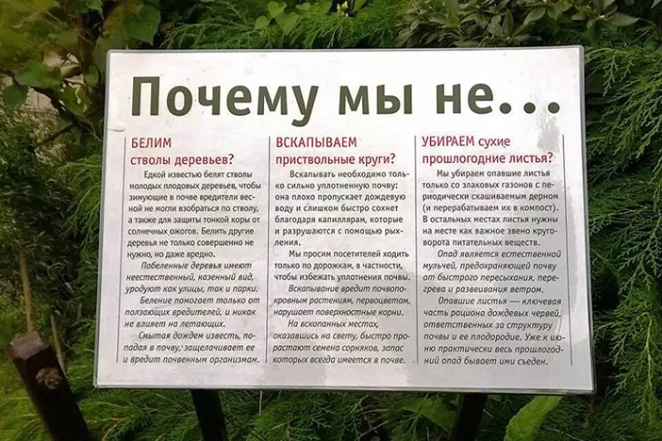 Можно ли убирать в субботу. Таблички в Ботаническом саду. Таблички для растений в Ботаническом саду. Таблички на деревья в Ботаническом саду. Таблички в парках у деревьев.