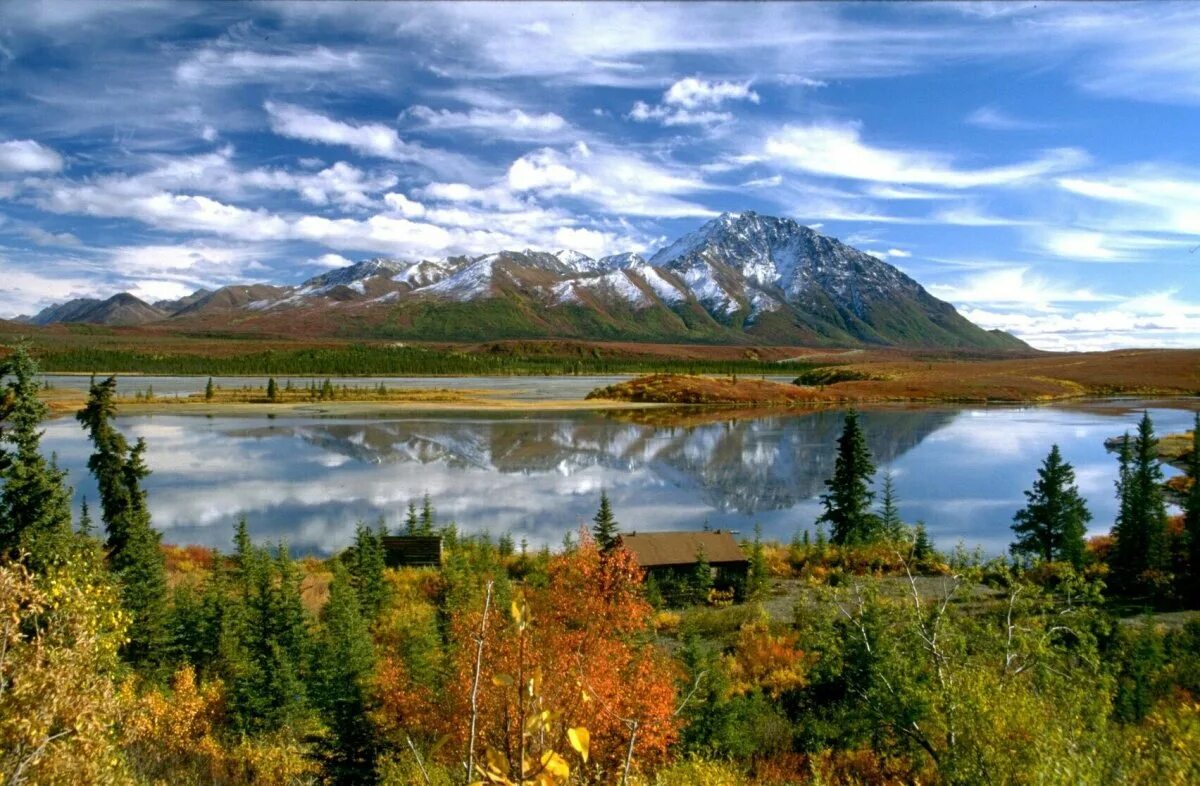 Alyaska. Аляска Анкоридж природа. Национальный парк Денали, штат Аляска. Штаты Америки Аляска. Северная Америка Аляска.