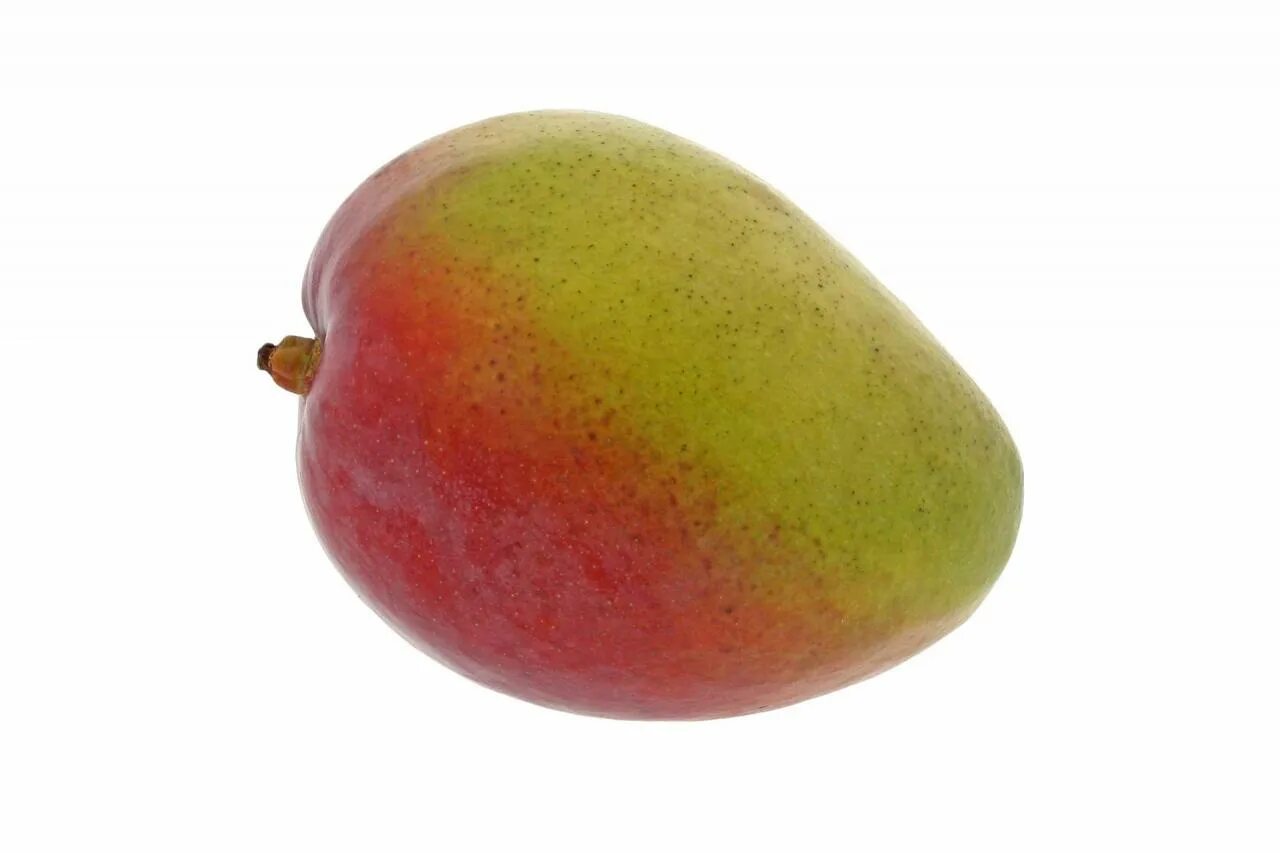 Манго (фрукт). Плод манго. Манго фото. Манго киви на белом фоне. Нажмите на фрукт