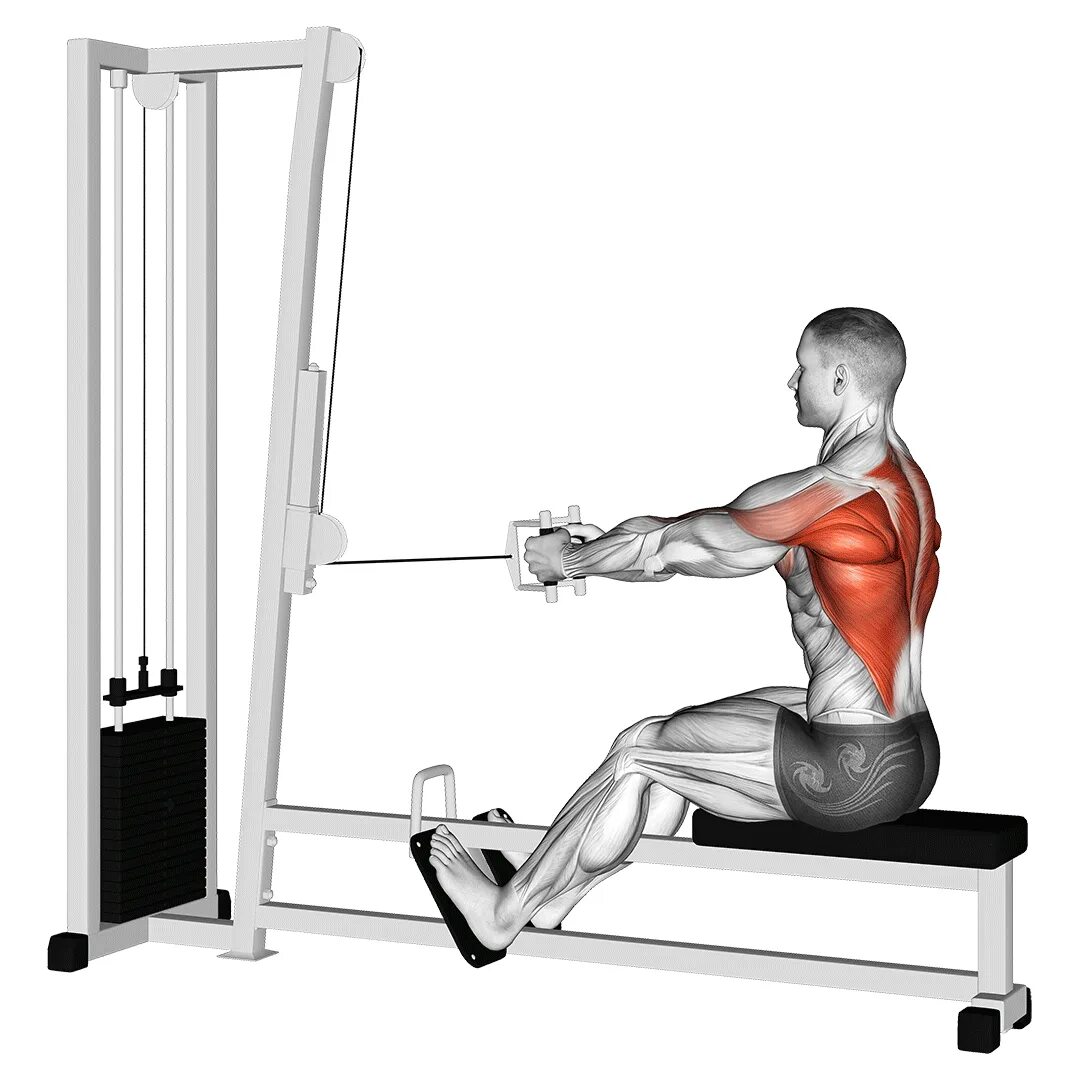 Горизонтальная тяга одной рукой. Close Grip Seated Cable Row. Горизонтальная тяга блока Хаммер. Тяга горизонтального блока в Хаммере. Тяга горизонтального блока сидя.