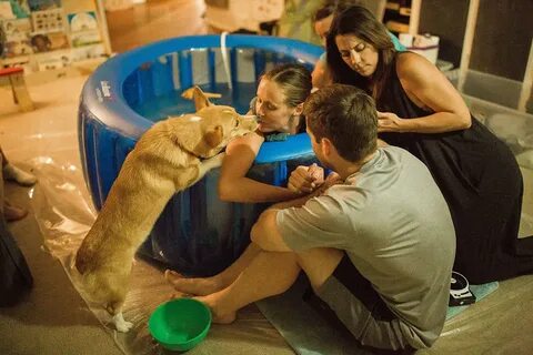 Женщина родила щенки