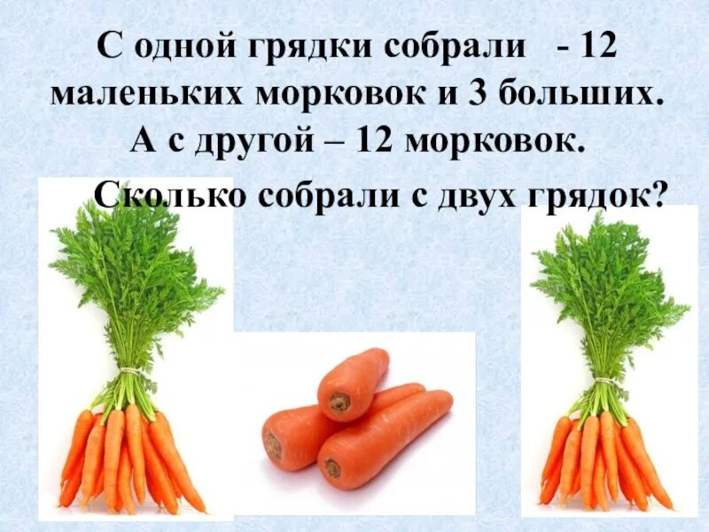 Сколько весит морковка. Задача про морковки. В12 в моркови. Как выглядит 1 кг моркови. Петрушка и морковка на одной грядке.