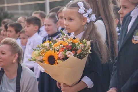 Линейки в школах 2023