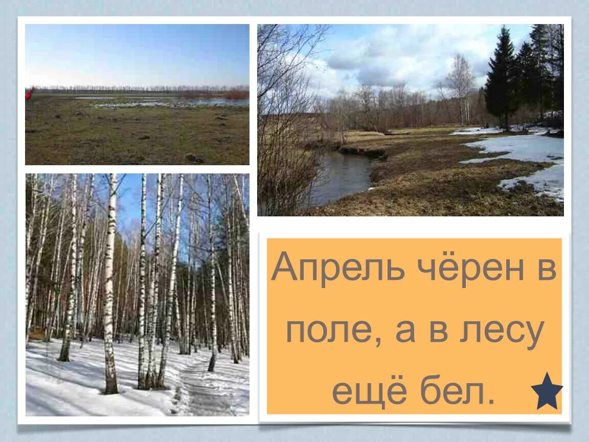 Какое завтра апреля. Презентация апрель. Апрель Водолей 1 класс презентация. Апрель Водолей. Апрель Водолей 1 класс.