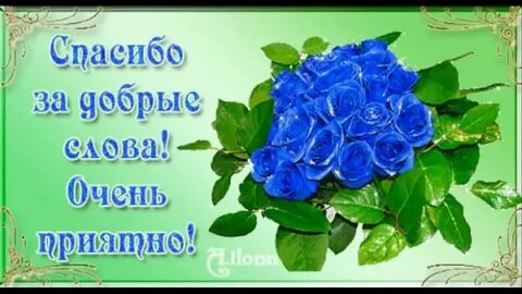 Спасибо большое за прекрасные пожелания