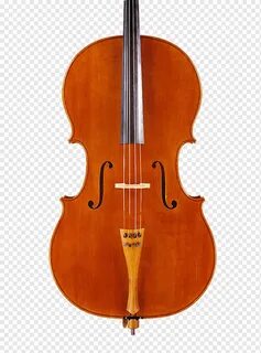 Violin cello