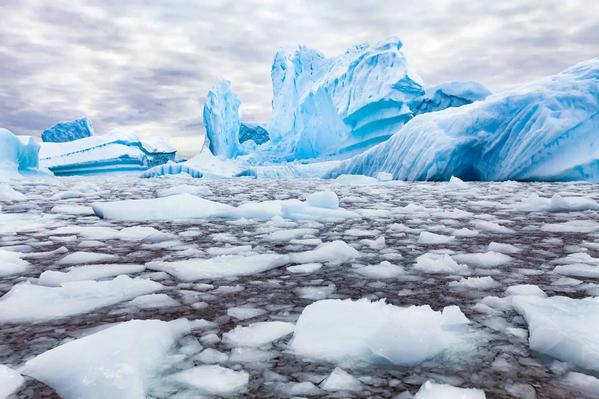 Iced heard. Антарктида ледник Денман. Северный полюс Арктика и Антарктика. Арктика Антарктика Антарктида. Северный полюс таяние ледников.