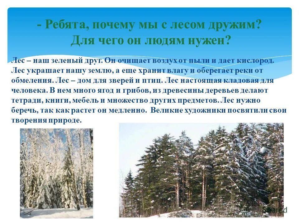 Зачем нам нужны леса. Зачем нужен лес человеку. Почему нужно охранять лес. Для чего нужен лес для дошкольников. Он всему лесному году начало