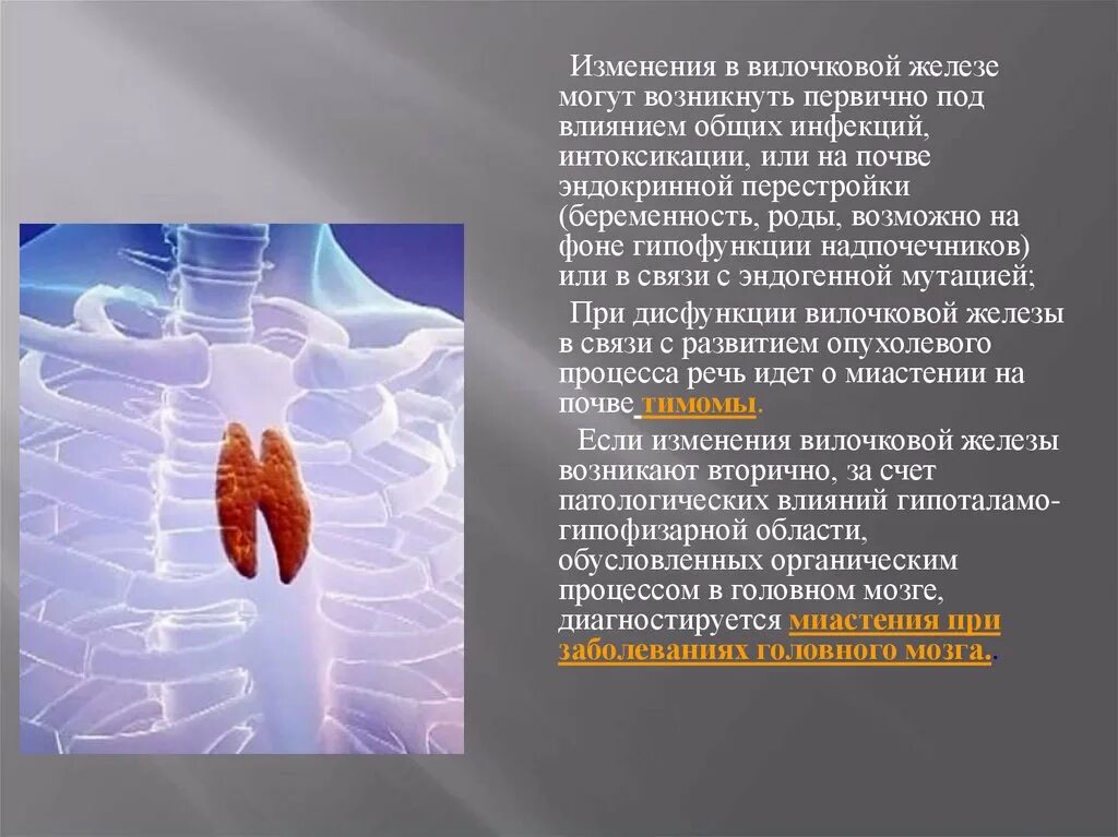 Миастения вилочковой железы. Никотиновые рецепторы. Гиперплазия вилочковой железы. Миастения вилочковой железы. Кт вилочковой железы при миастении.