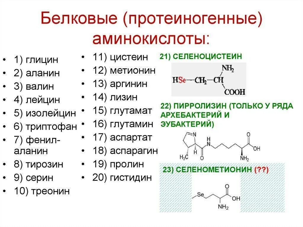 Состав радикалов аминокислот. Белковые протеиногенные аминокислоты. Незаменимые аминокислоты структурные формулы. Общая структура α-аминокислот. Валин строение аминокислоты.