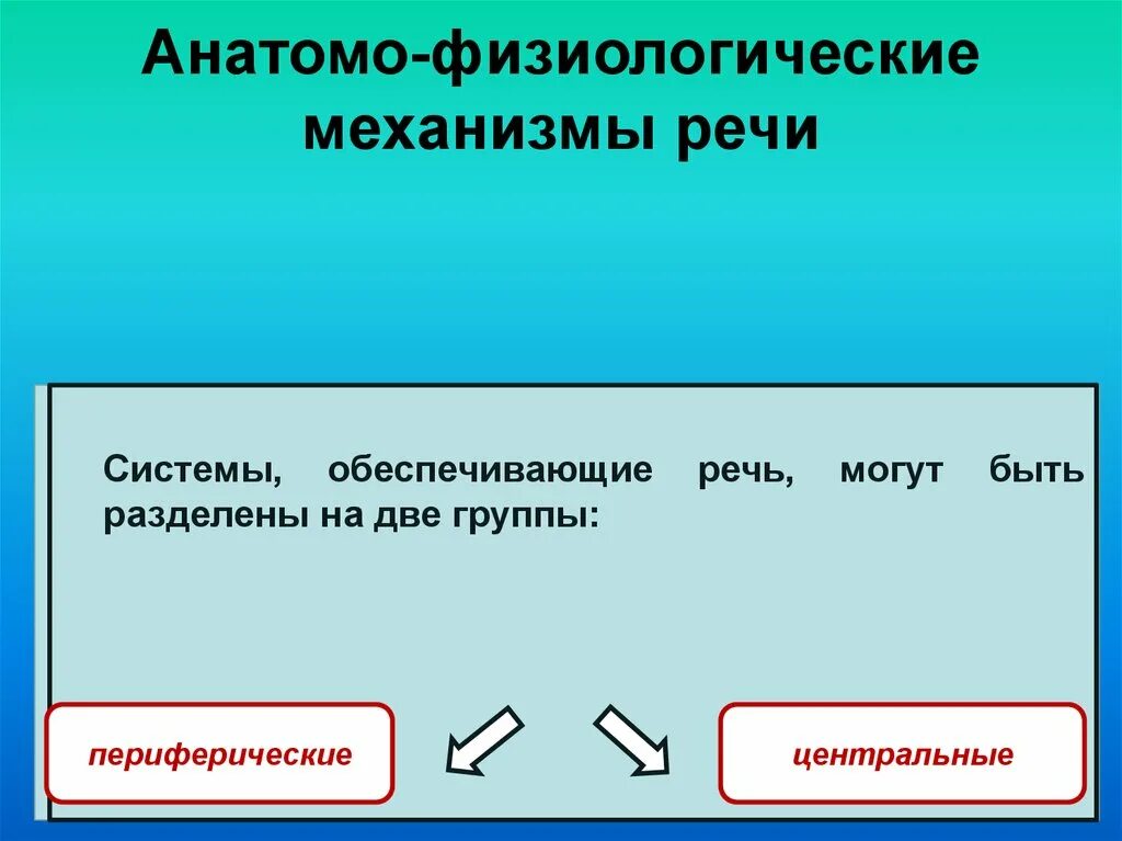 Анатомо физиологические механизмы. Анатомо-физиологические механизмы речи. Анатомо физиологические основы речи. Анатомо-физиологические основы речевой деятельности. Физиологические механизмы речи.