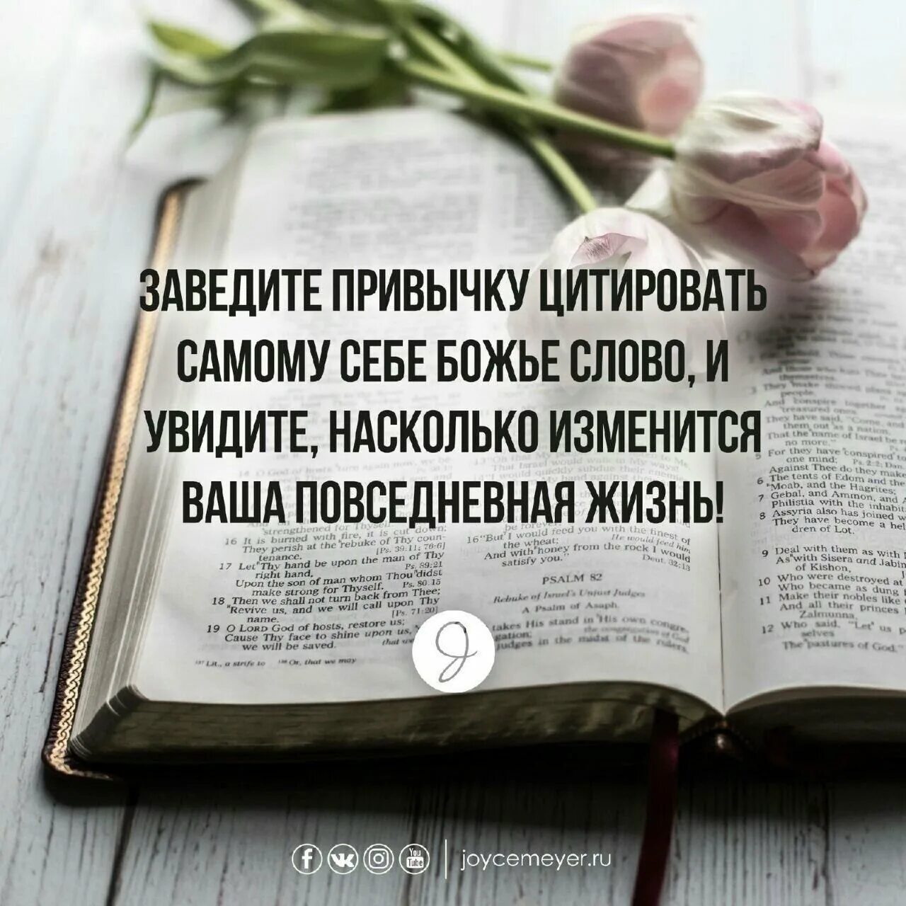 Стих дня из библии