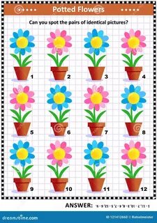 Find the flower