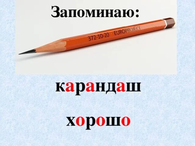 Первое слово карандаш. Слово карандаш. Карандаш словарное слово. Словарное слово карандаш в картинках. Запомнить карандаш.