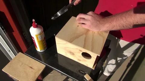 Build nesting boxes
