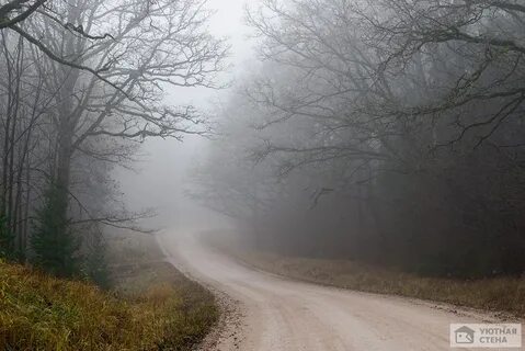 Дорога в пасмурный день