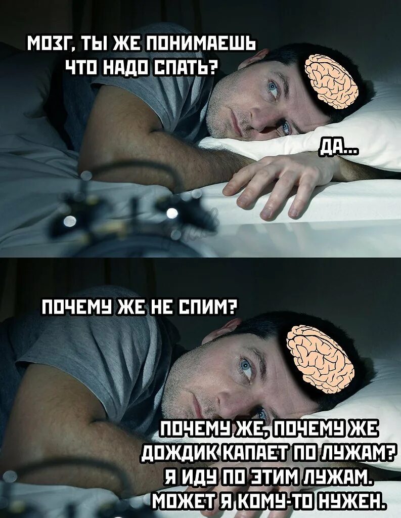 Сон дура. Сон дура. Щас усну. Сон дура. Сон дура.