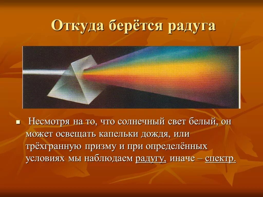 При попадании солнечного света на капли дождя