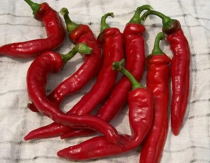 Pepper us