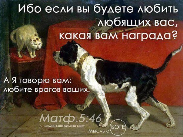 Готов получить