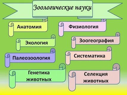 Как называется наука которая изучает животных
