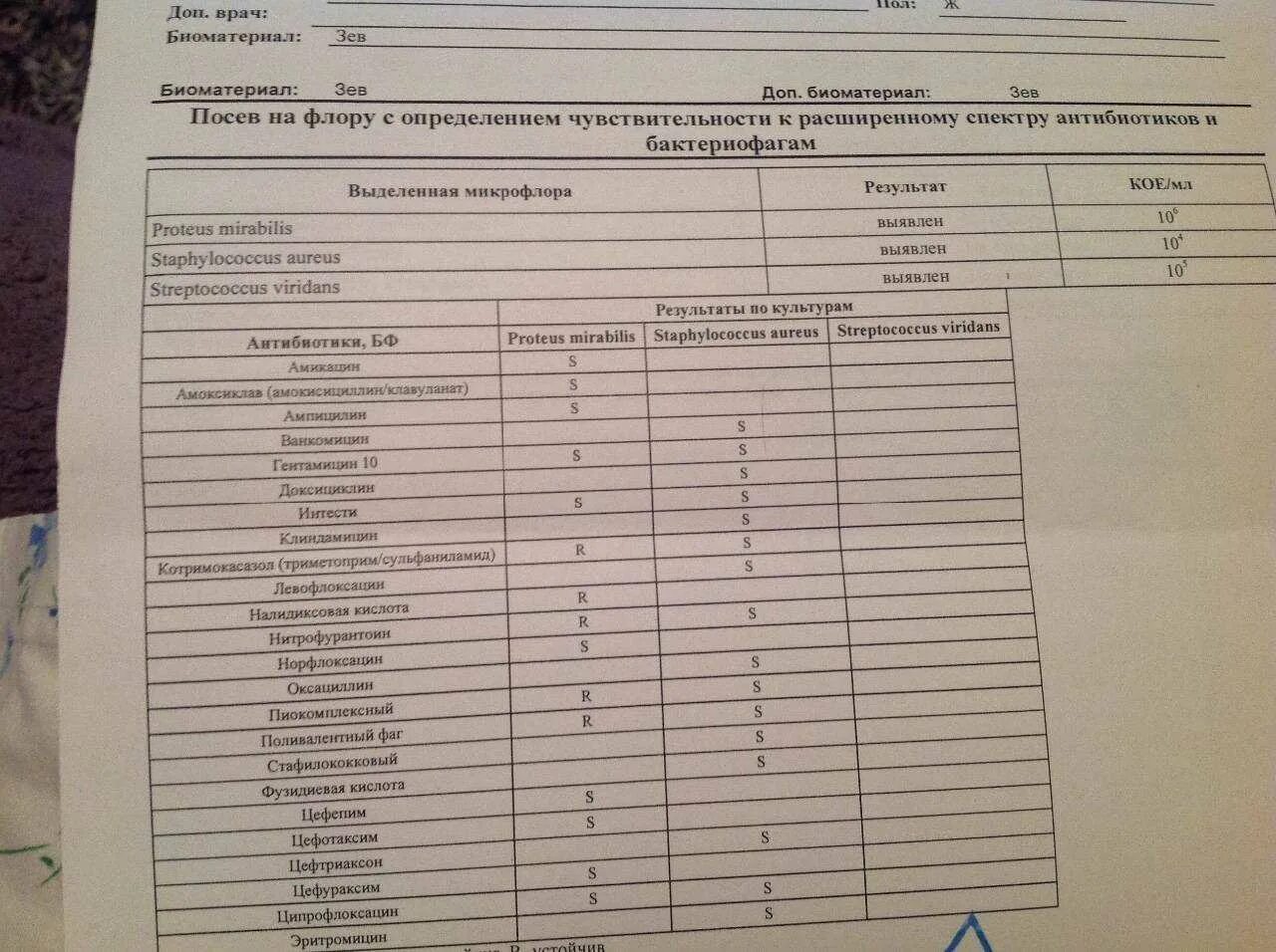 Посев мочи определение. Бак посев из зева и носа на флору и чувствительность. бак посев зева и носа на микрофлору чувствительность к антибиотикам. результаты бак посева стафилококк. мазок на чувствительность к антибиотикам из зева.