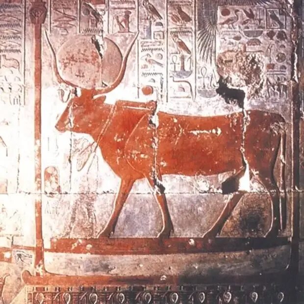 Корова в древности. Корова Хатхор богиня Египта. Бог Хатхор в древнем Египте. АПИС В древнем Египте. Хатхор богиня -корова древнего Египта.