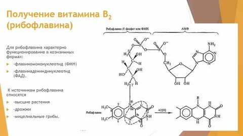 Производство витаминов